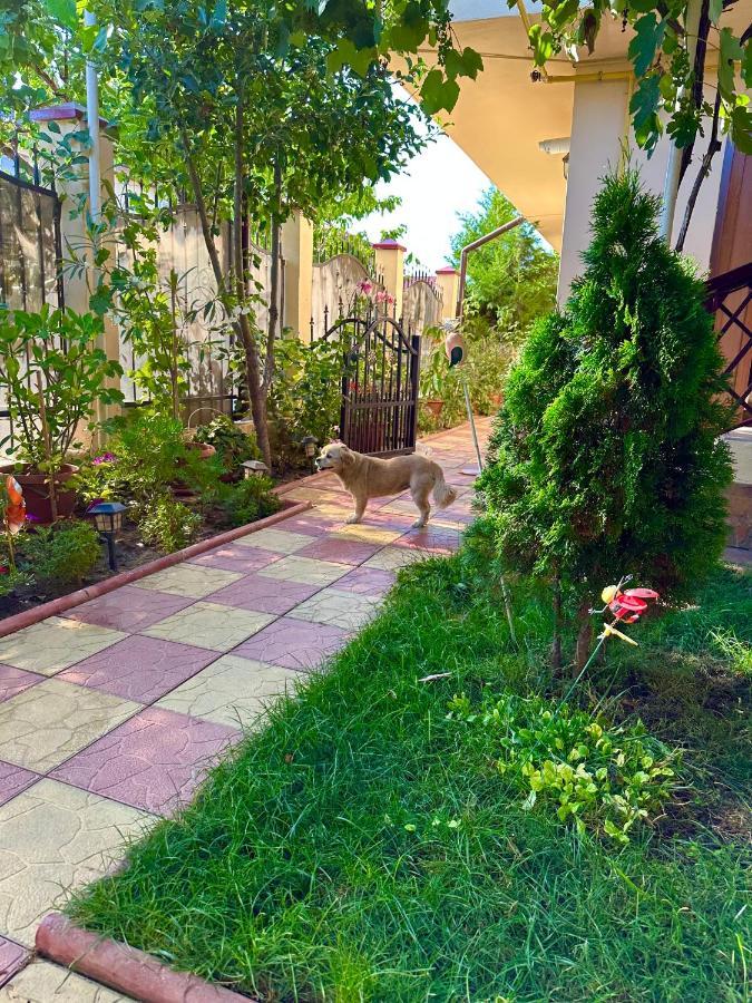 Casa Duminica Appartement Două Mai Buitenkant foto